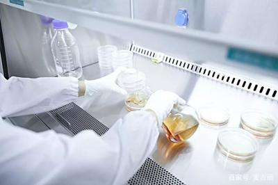 媒体组团探秘麦吉丽研发工厂，揭秘素颜之美的科技密码